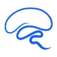 Neuroschool